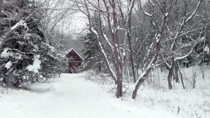 Candelwood cabins