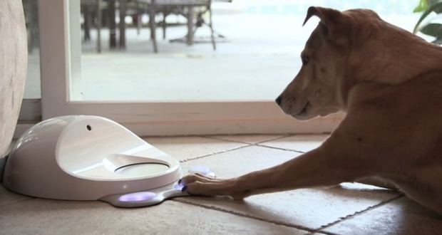 CleverPet at CES 2016