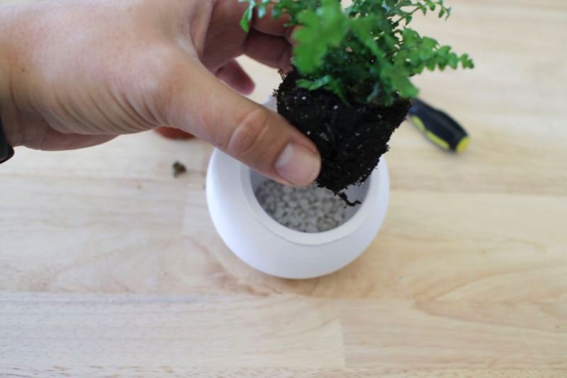 Self-watering planters