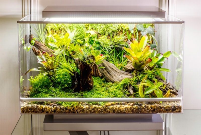 Biopod World's First Smart Microhabitat