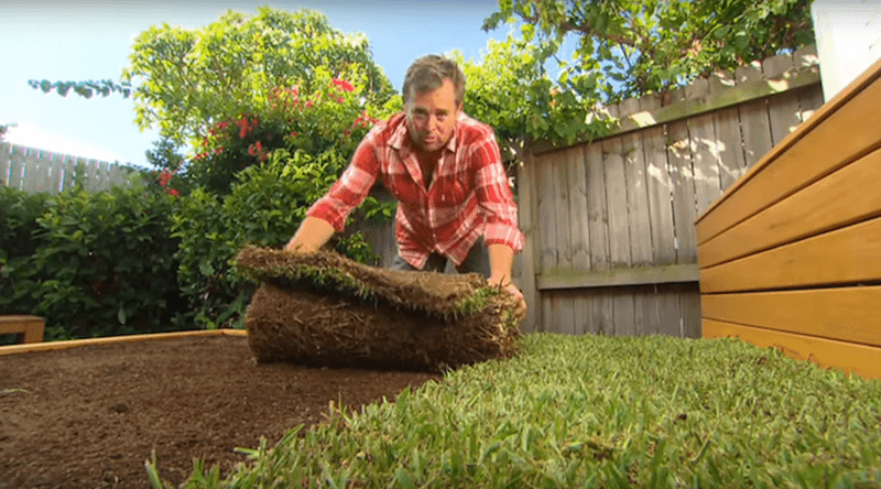 DIY Grass Bed