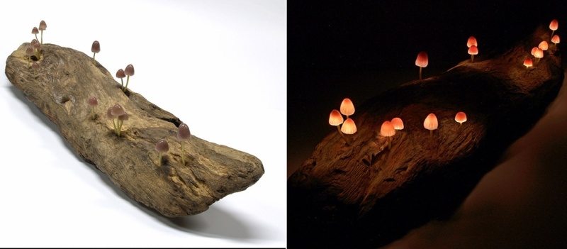 LED Mushroom Lights by Yukio Takano