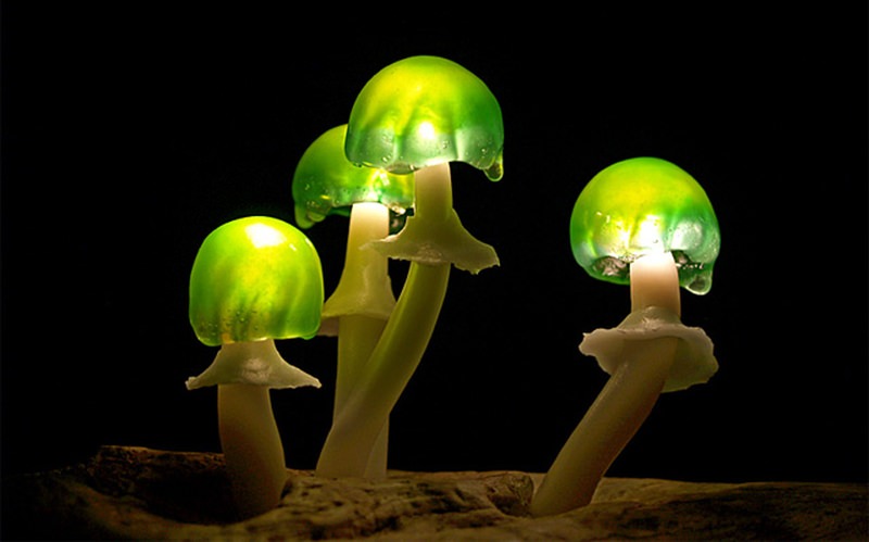 LED Mushroom Lights by Yukio Takano