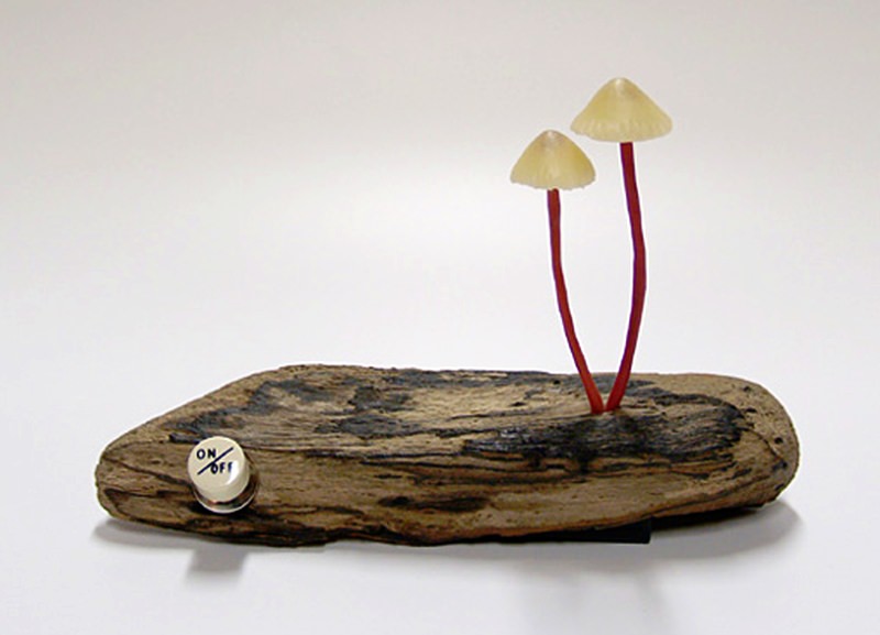 yukio takano led mushroom lights