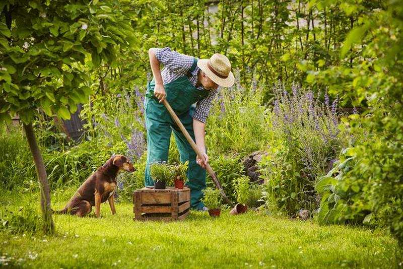 8 ways to get your garden ready for spring