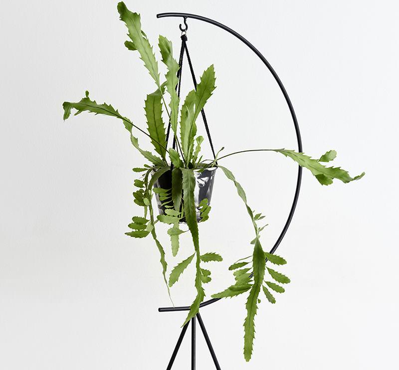 Crescent Plant Stand