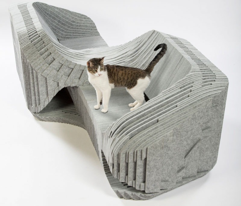 Cat shelter for chairty