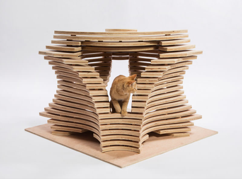 Cat shelter for chairty