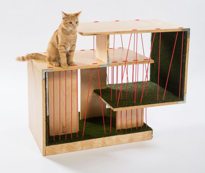 Cat shelter for chairty