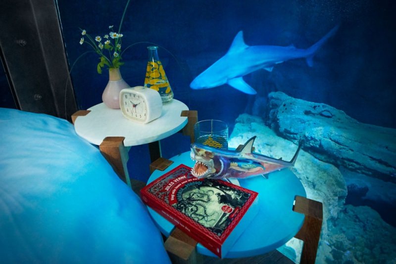 Airbnb Underwater Shark Bedroom