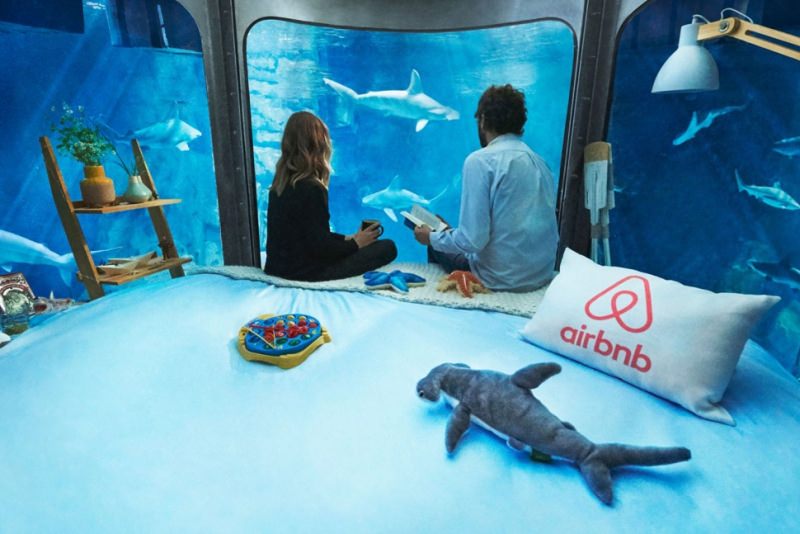 Airbnb Underwater Shark Bedroom