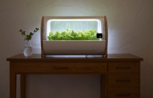 Foop Hydroponic System