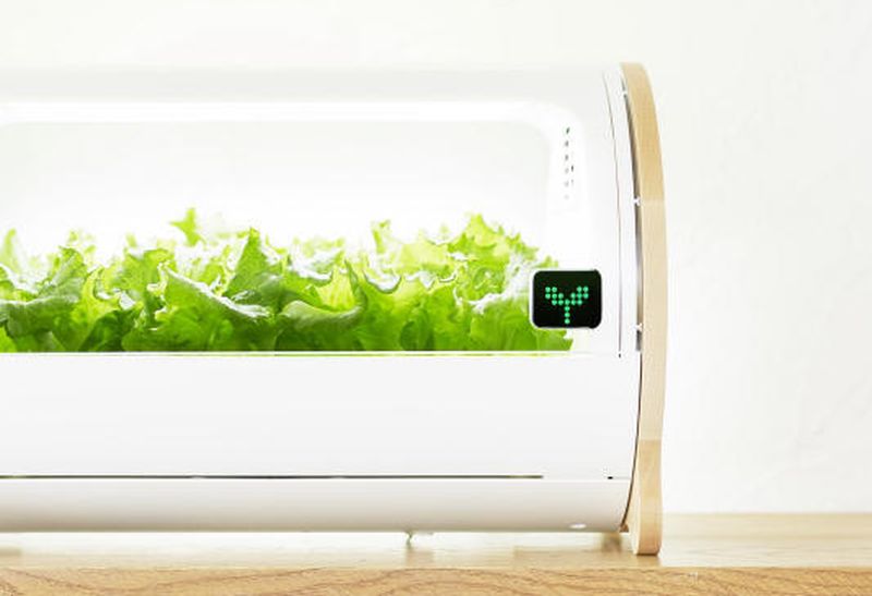 Foop Hydroponic System