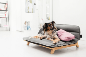 dog-bed by Mnomo