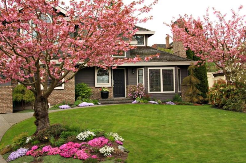 trees in garden