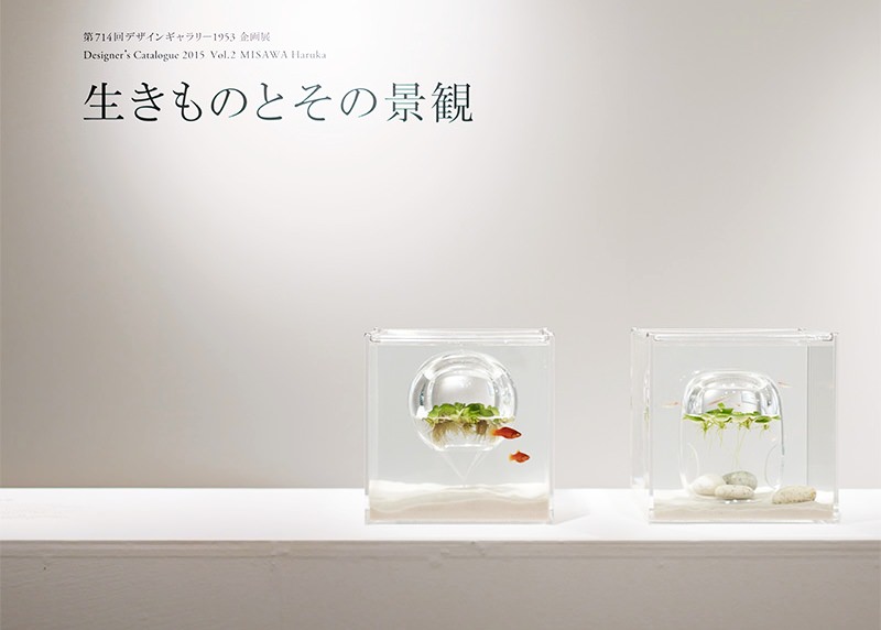 Fish Tank by Haruka Misawa