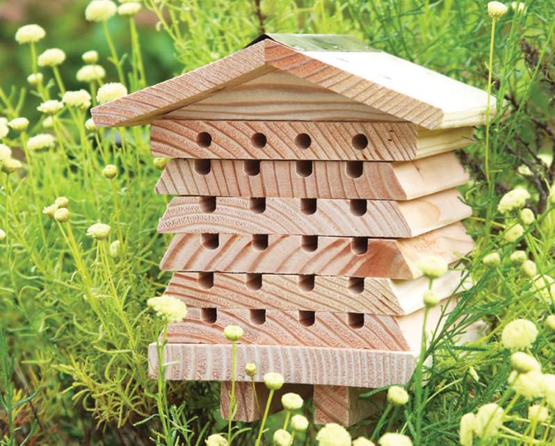 British horticulturist bee house attracts non-swarming bees