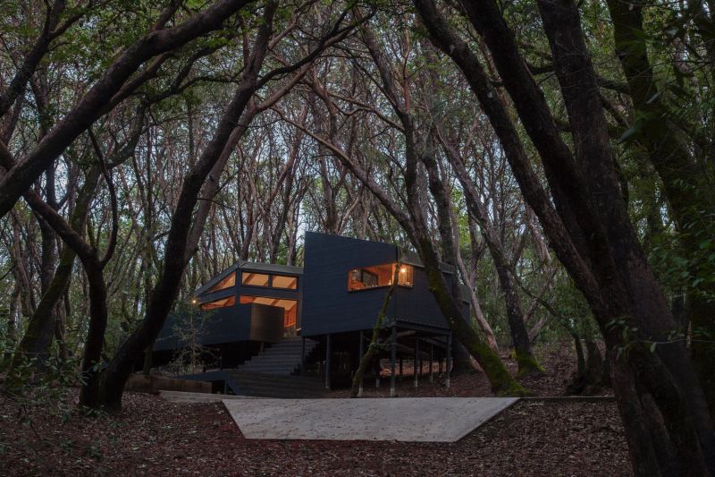 20 Awesome Forest Homes From Around The World