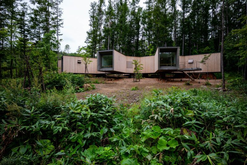 House in the forest by Florian Busch Architects