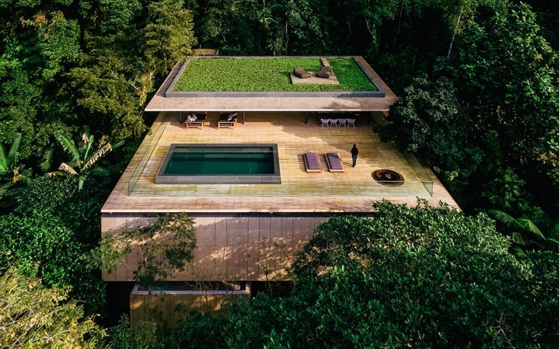 Rainforest-House