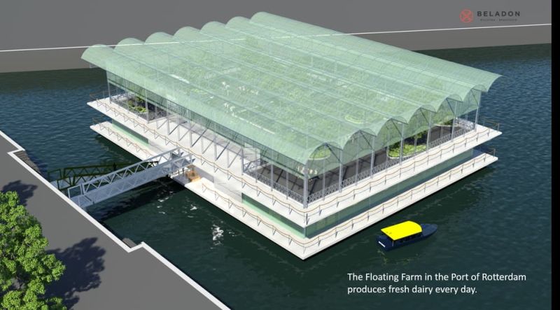 World’s first floating dairy farm