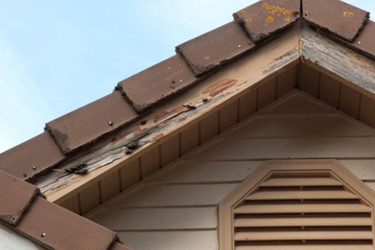 7 easy ways to detect signs of termite infestation 