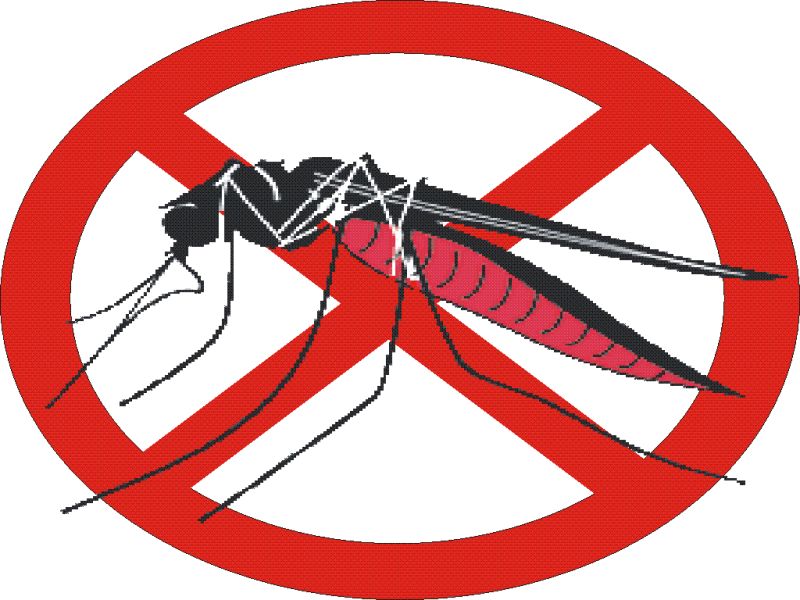 we need to eliminate all mosquito-borne diseases