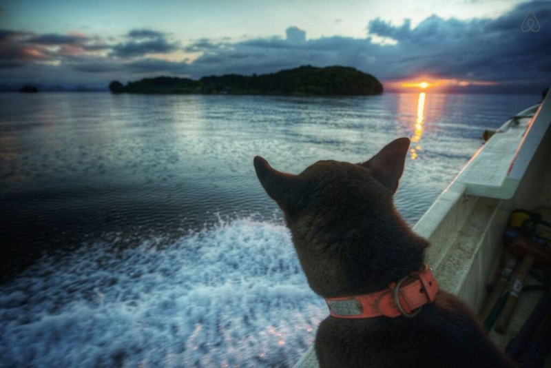 Tajima island by Tetsuhiro on Airbnb_16