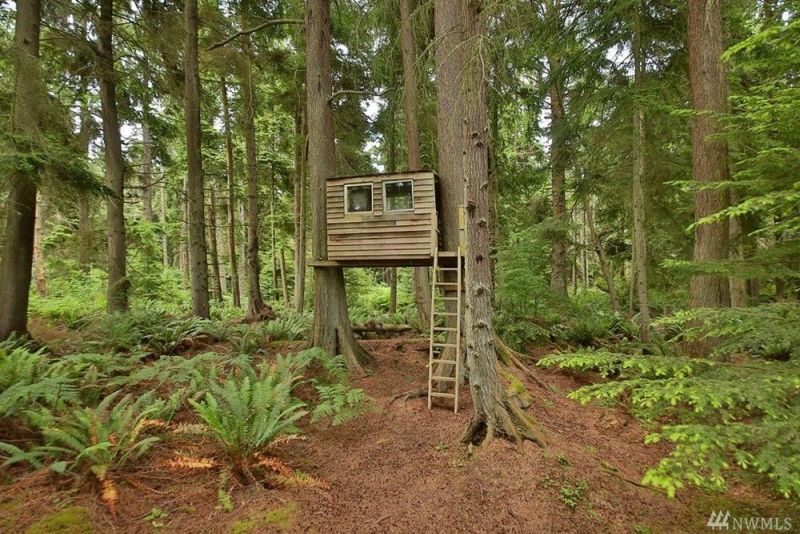 540-sqft Whidbey Cabin comes with treehouse and serene vistas