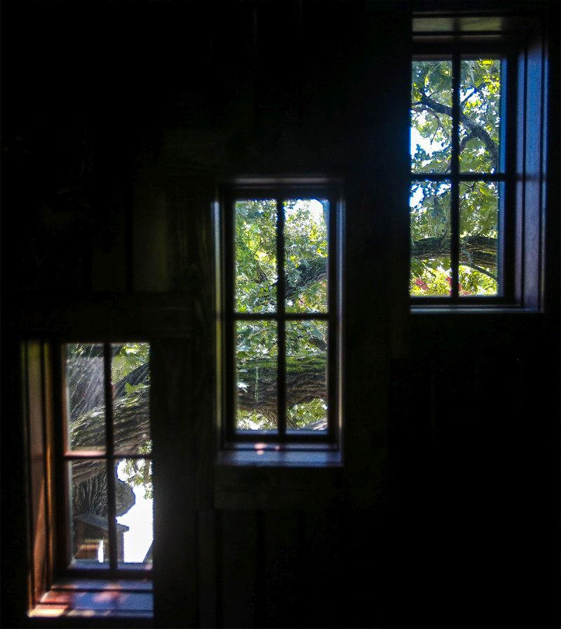 Cottage Grove’s treehouse suite embraces 150-year-old bur oak tree