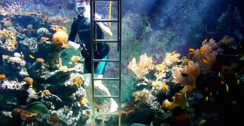 Man builds 30,000-liter aquarium