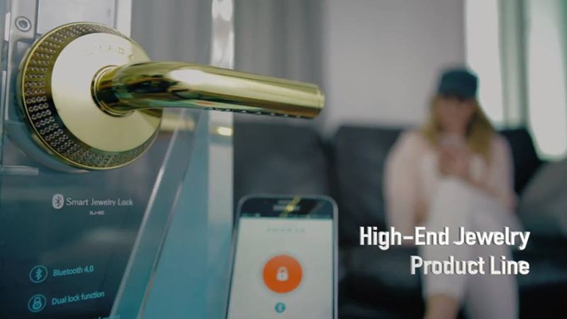 Jewelry edition of smart lock 