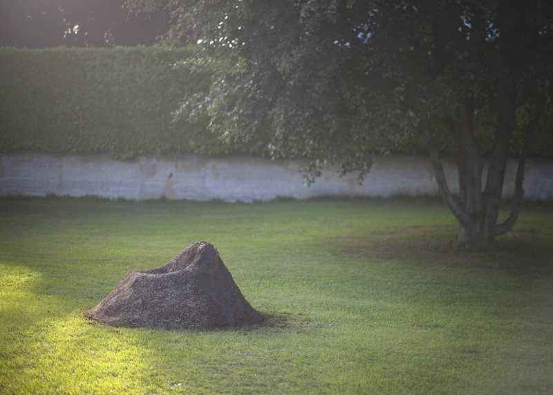 Terra-Grass-Armchair