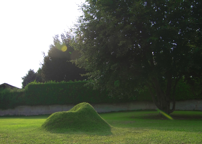 Terra-Grass-Armchair in the backyard 