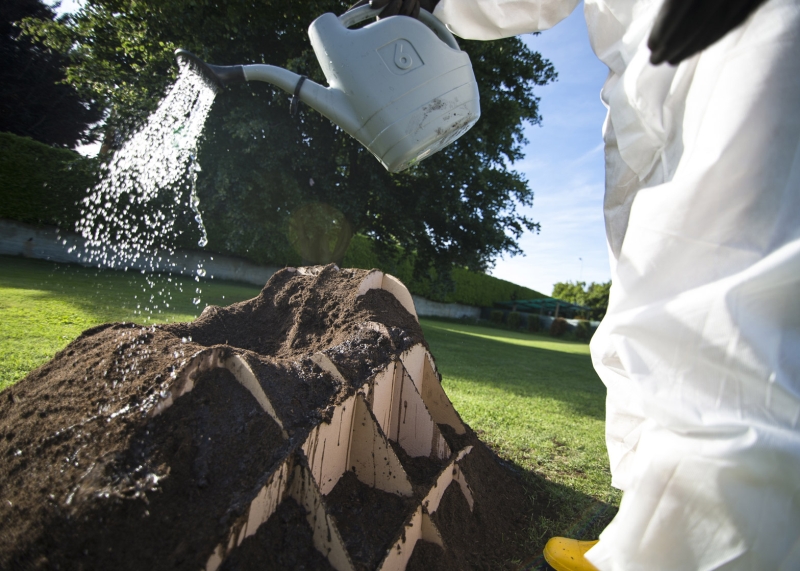 watering Terra Grass Armchair 