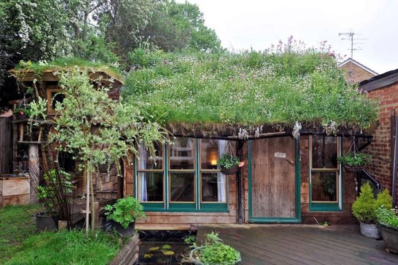 West Wing eco-cabin is crowned 2016 Shed of the Year