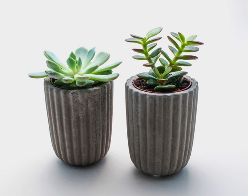 Concrete Pot Planter