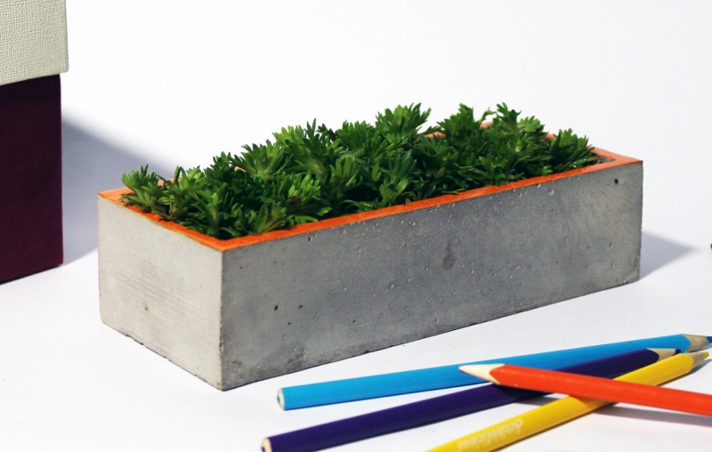 Concrete Tray Planter