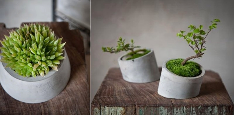 Concrete planters by Shenme Design