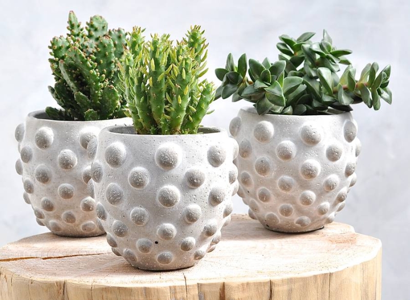 Textured Planter for home