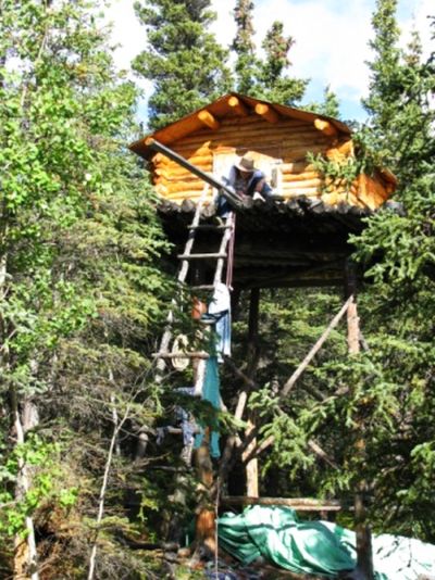 Shed for storing food & other necessary supplies 