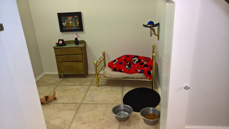 Tiny Chihuahua's Bedroom Under The Stairs