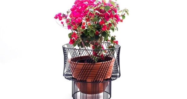Elevate and protect your plants with stylish Bend Plant Stands