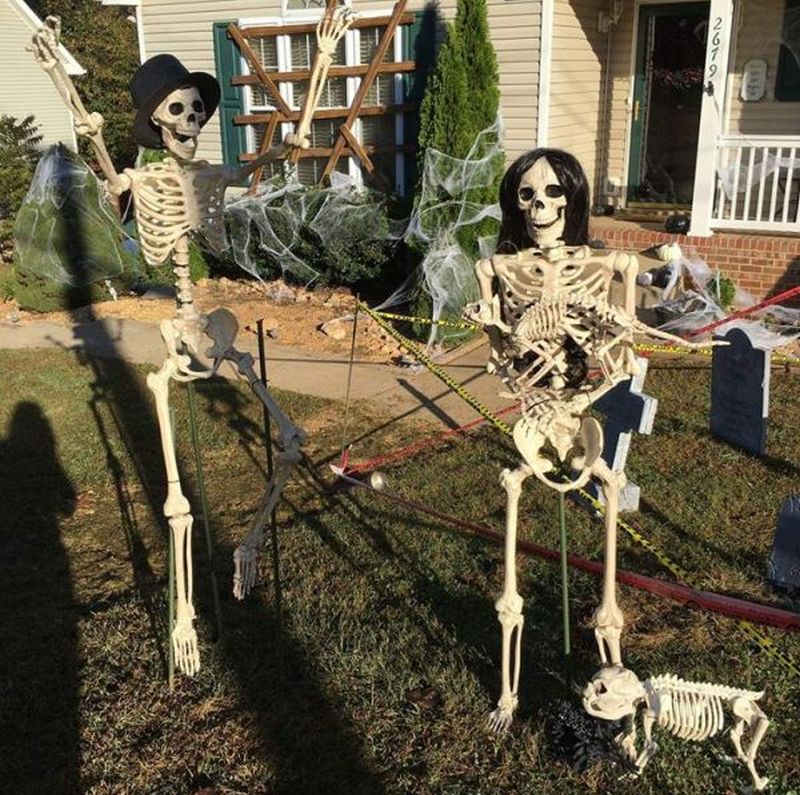 Mr. Bones is feeling happy after meeting his life partner 