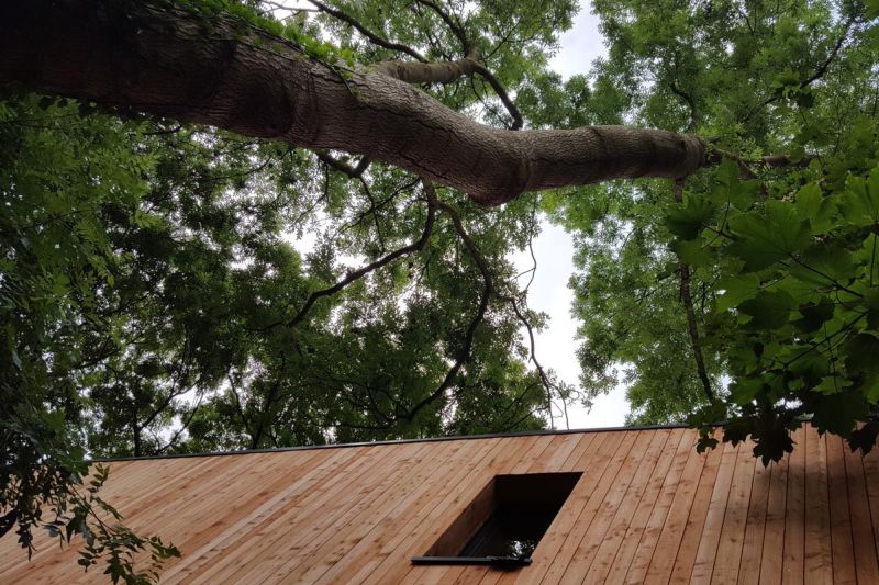 Skylights added for welcoming natural light inside 