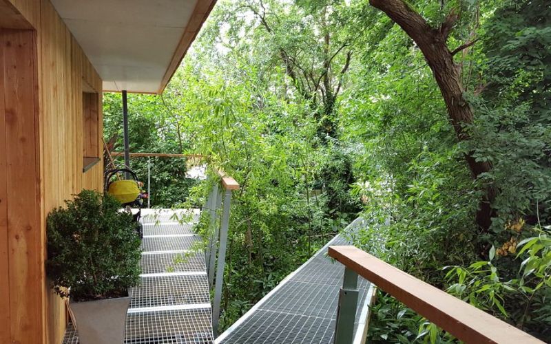 Dursley treehouse is nature-inspired home by Millar + Howard Workshop_1