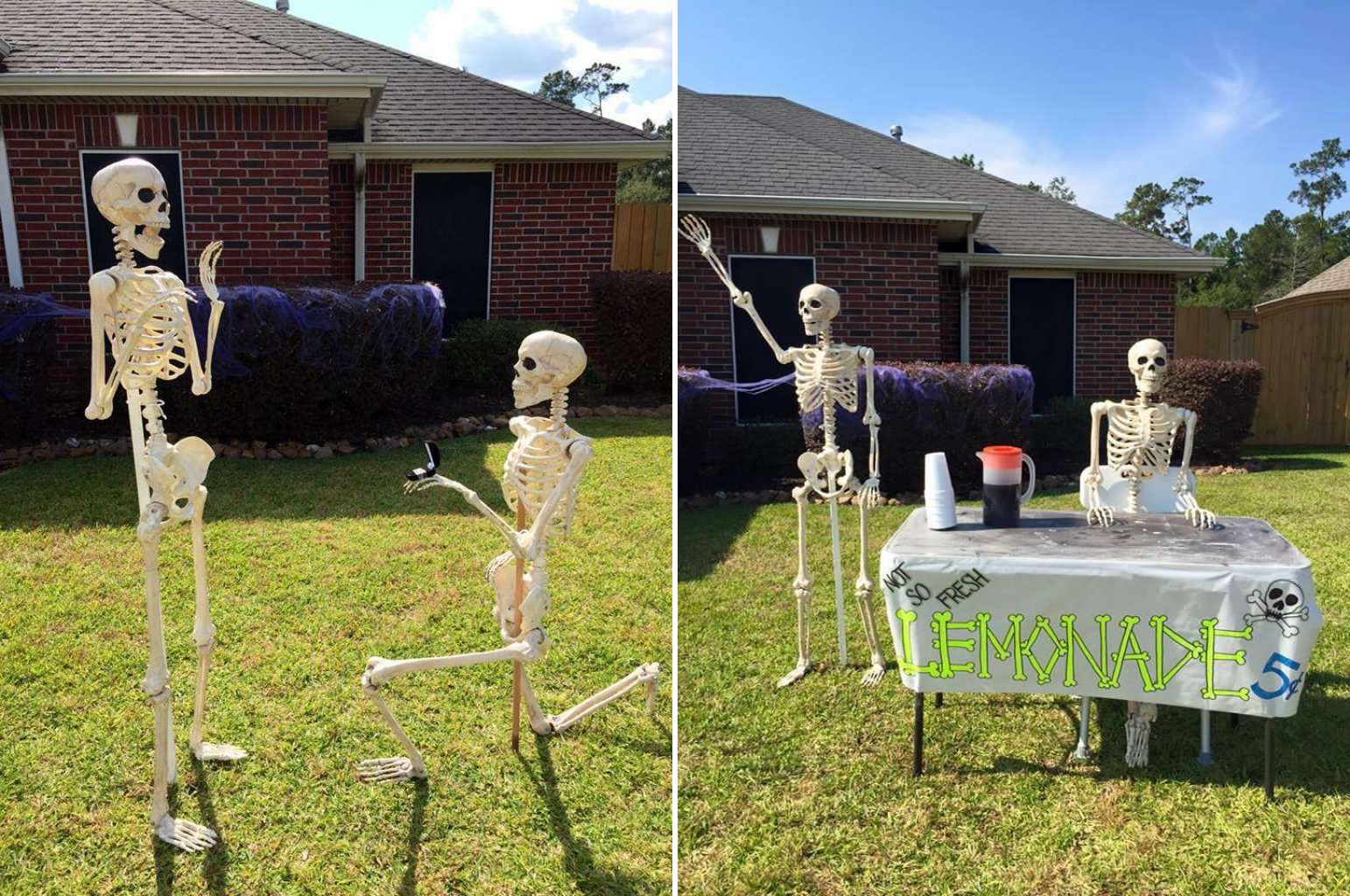 skeleton display in garden 