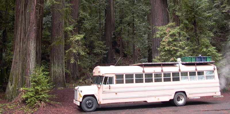 School Bus with wood stove