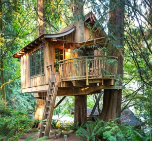 Treehouse Point: A Village Of Treehouses Perfect For Glamping