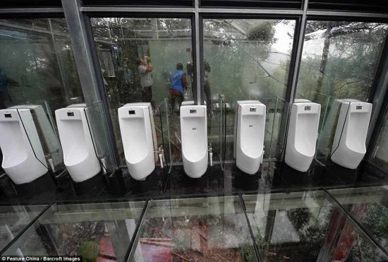 Eight glass-mounted urinals for men